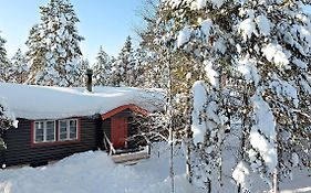 Bjoernbyn